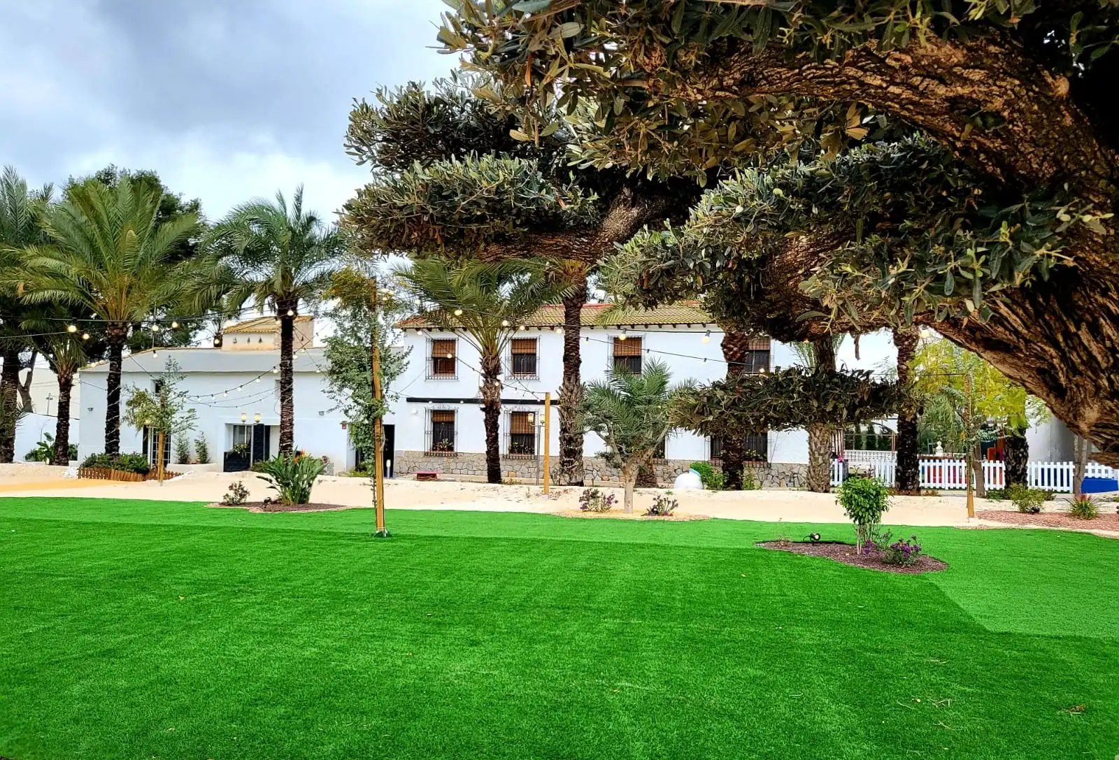 The finca’s white house at the far end of a lawn, with palms and an old olive tree pruned into a cloud shape above it