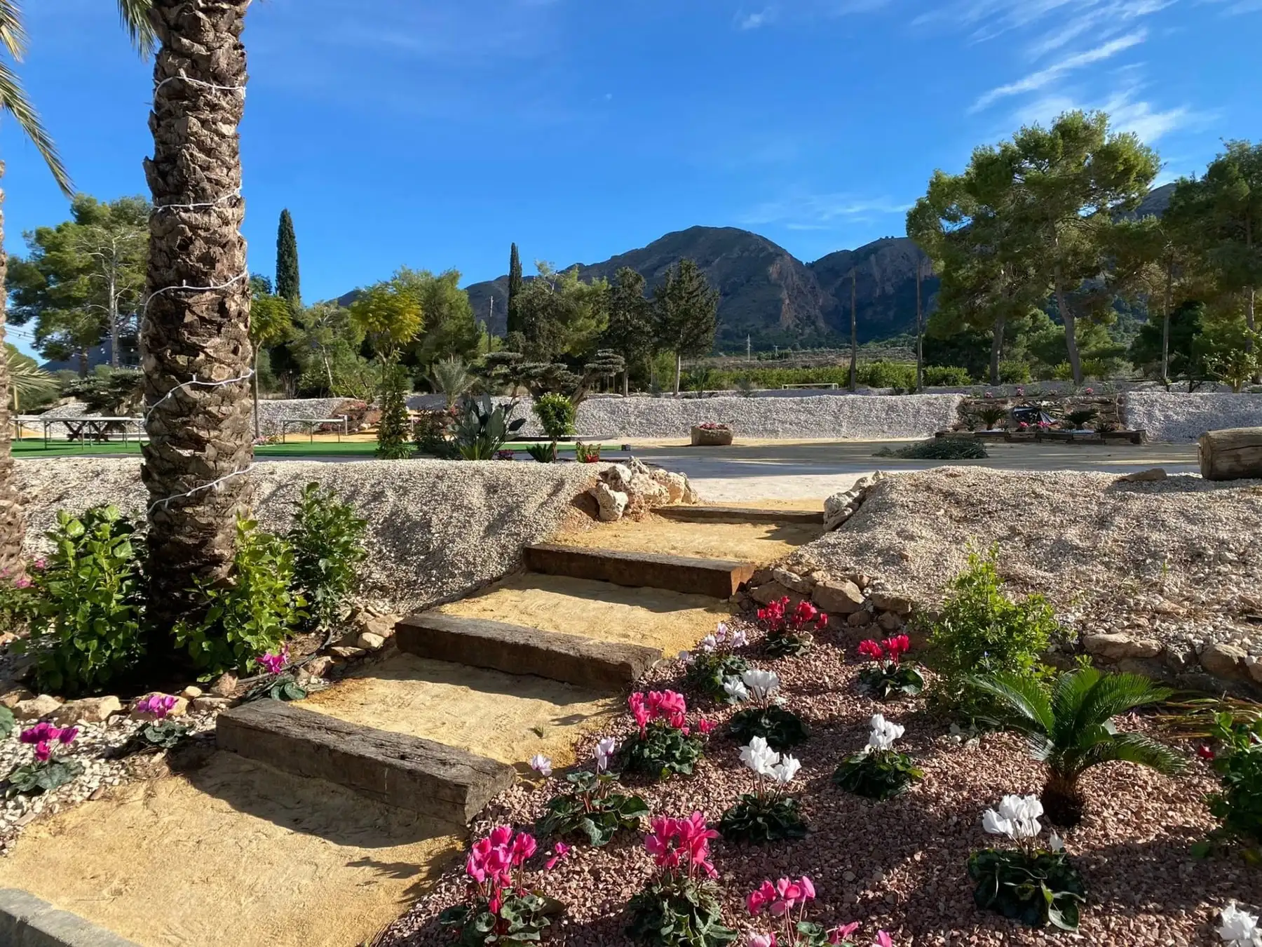 La misma escalera de madera con palmeras y flores, bajo un cielo azul y con la montaña de Orihuela detrás